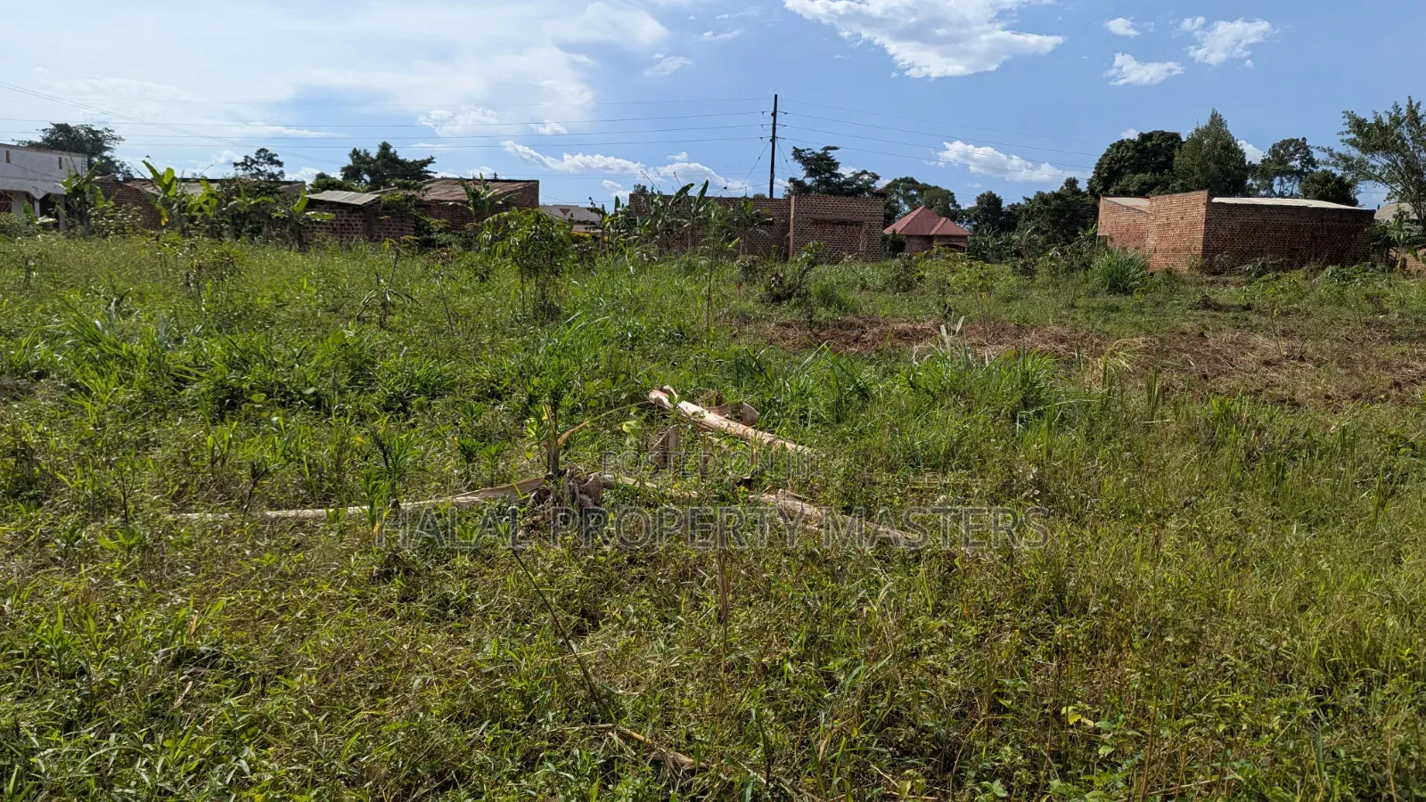 Plot for Sale