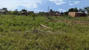 Plot for Sale