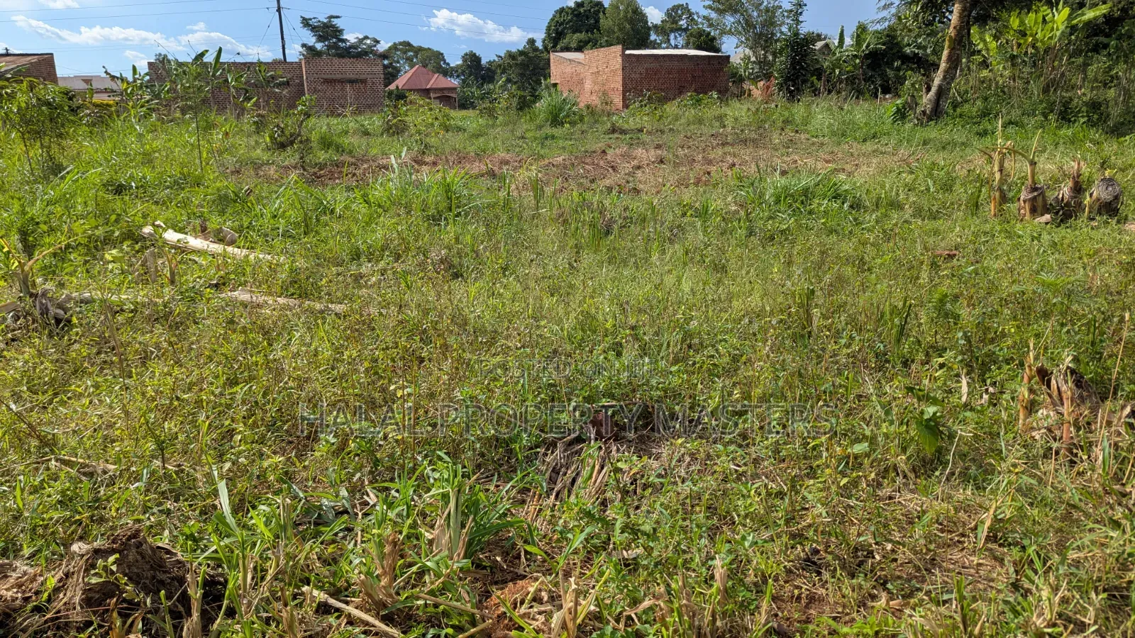 Plot for Sale