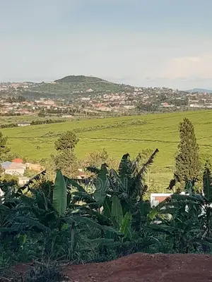 Good Houses at 70m