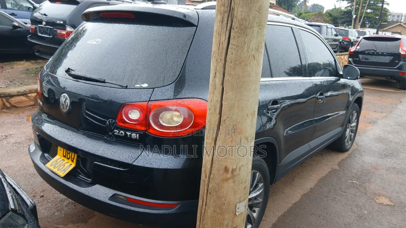Volkswagen Tiguan 2009 Black