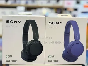 Sony Wh Ch520 Wireless Headphones
