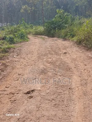 Plot 50x100 for Sale