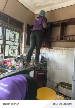 Cleaning Services and House Rearranging