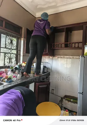 Cleaning Services and House Rearranging