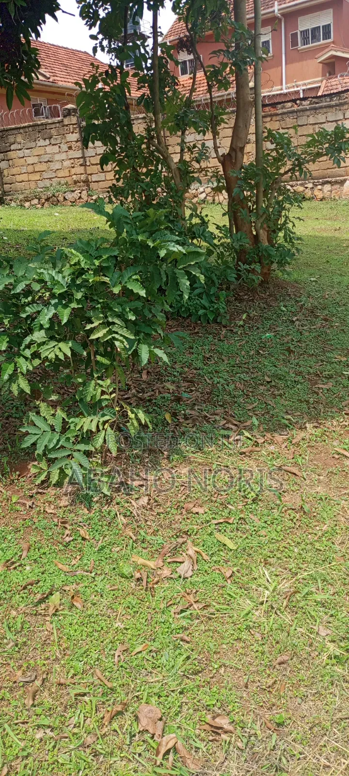 50 Decimals in Muyenga