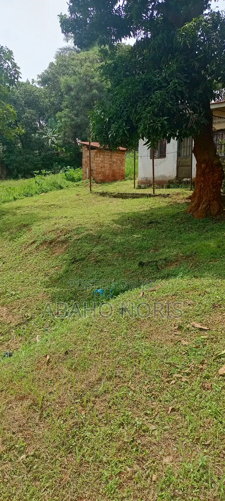 50 Decimals in Muyenga