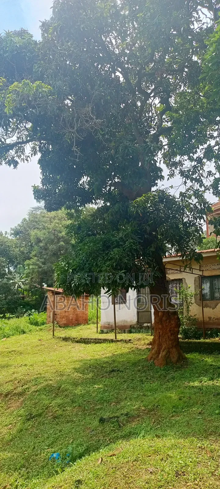 50 Decimals in Muyenga