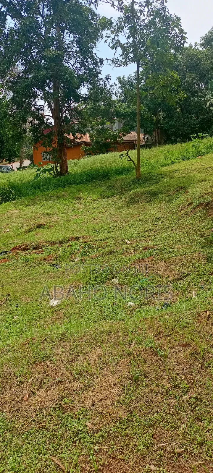 50 Decimals in Muyenga