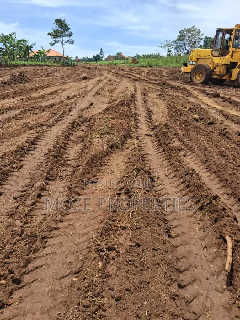 Bukelele Kiyunga New Plots for Sale.