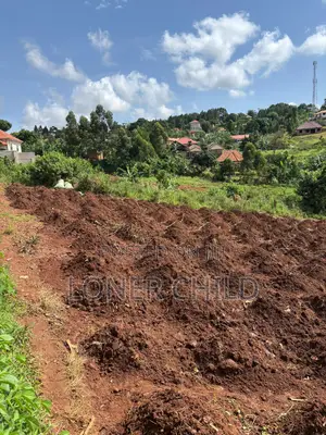 Land for Sale in Namilyango - Kirowooza
