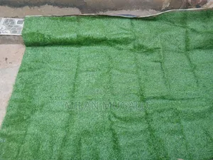 Carpet for Sale