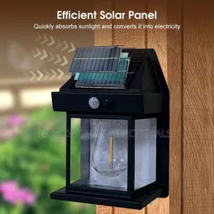 Solar Outdoor Light With Bulb, Warm Color