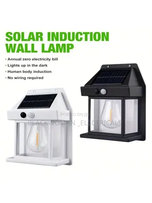 Solar Outdoor Light With Bulb, Warm Color