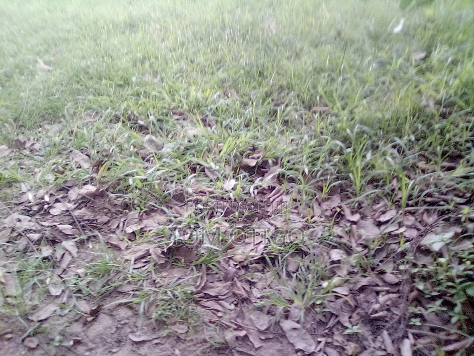 Plot of Land for Urgent Sale in Soroti
