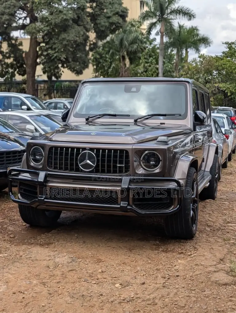Mercedes-Benz G-Class 2019 Maroon