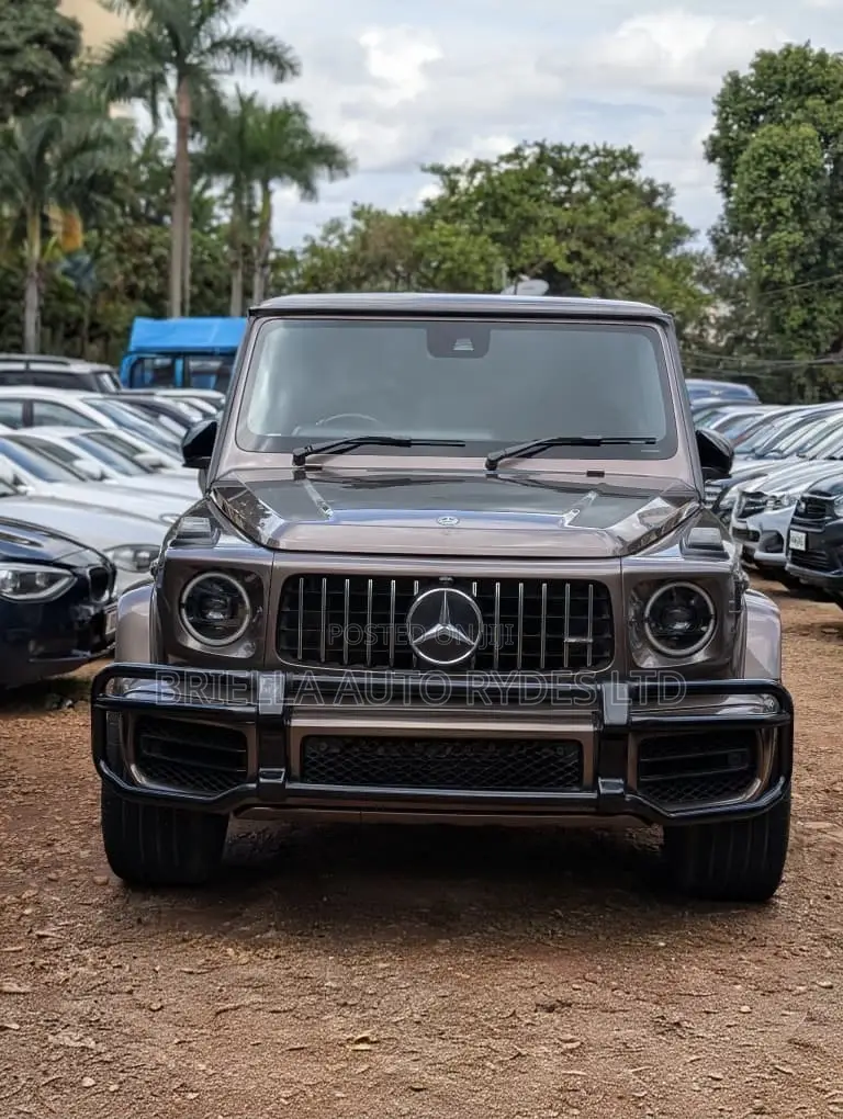 Mercedes-Benz G-Class 2019 Maroon