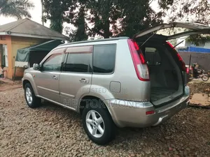 Nissan X-Trail 2.0 2002 Silver
