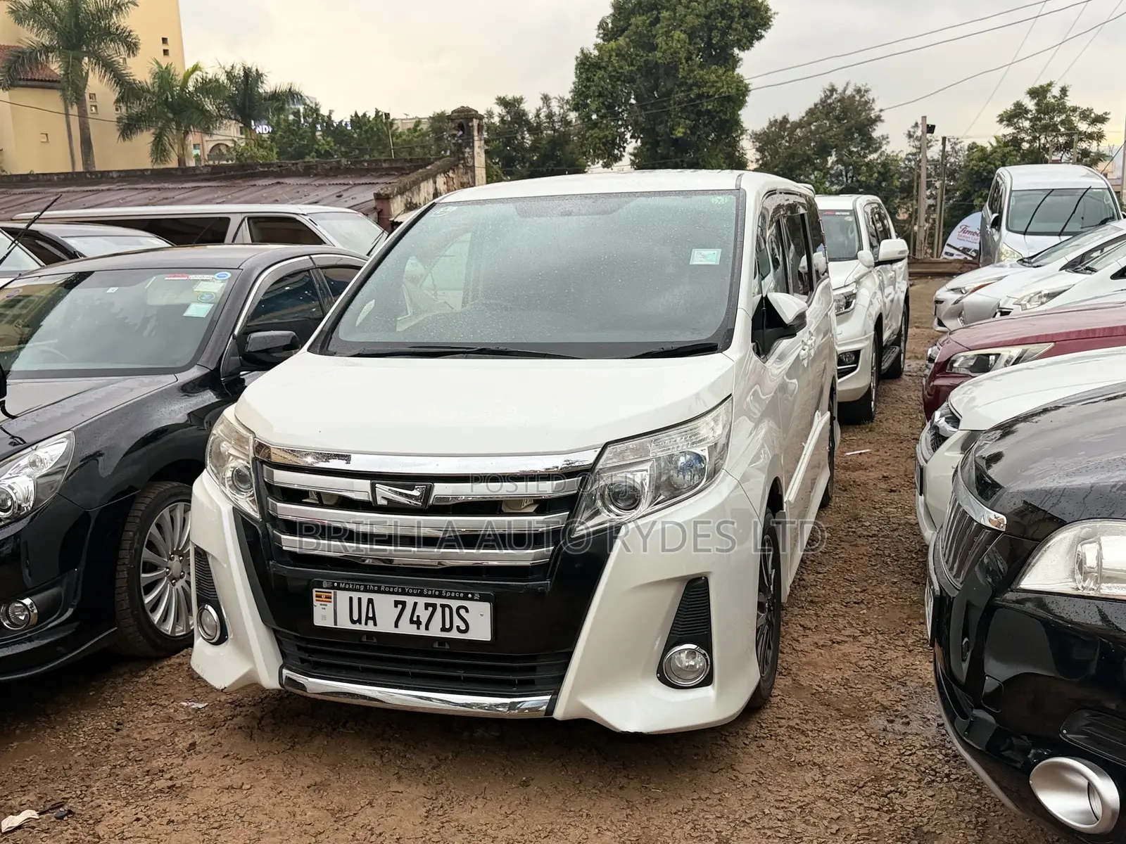 Toyota Noah 2016 Ivory