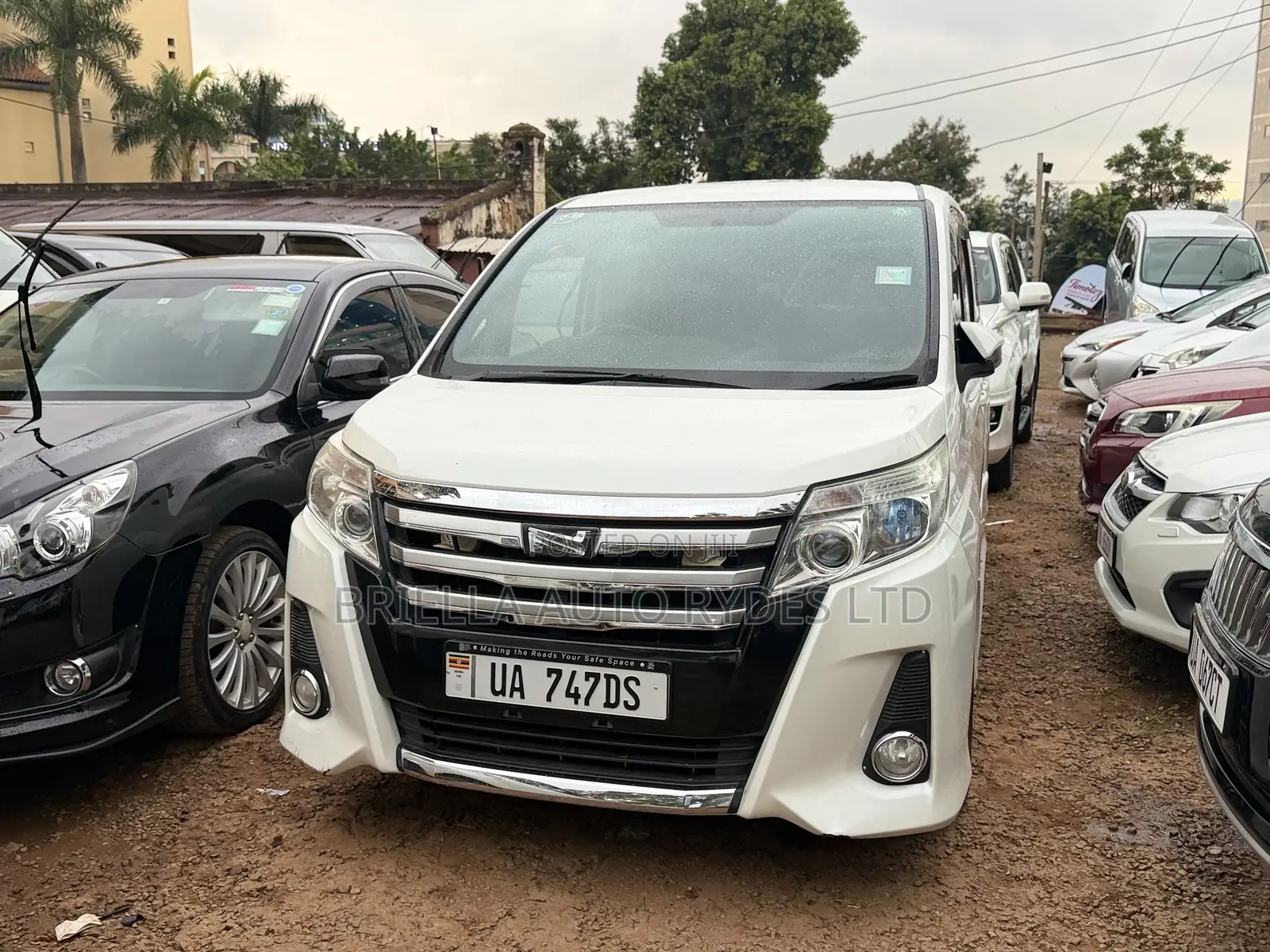 Toyota Noah 2016 Ivory