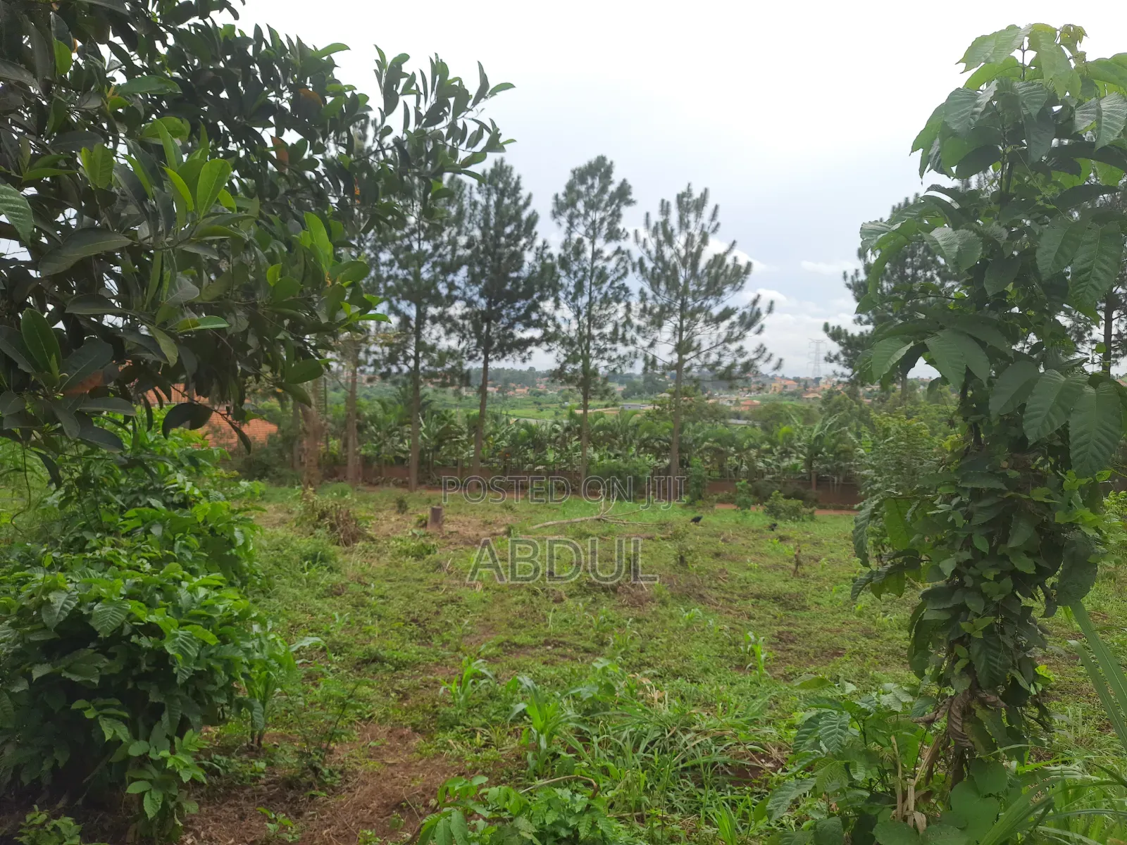 58 Decimals Piece of Land in Kira Nsasa at Ugx480m
