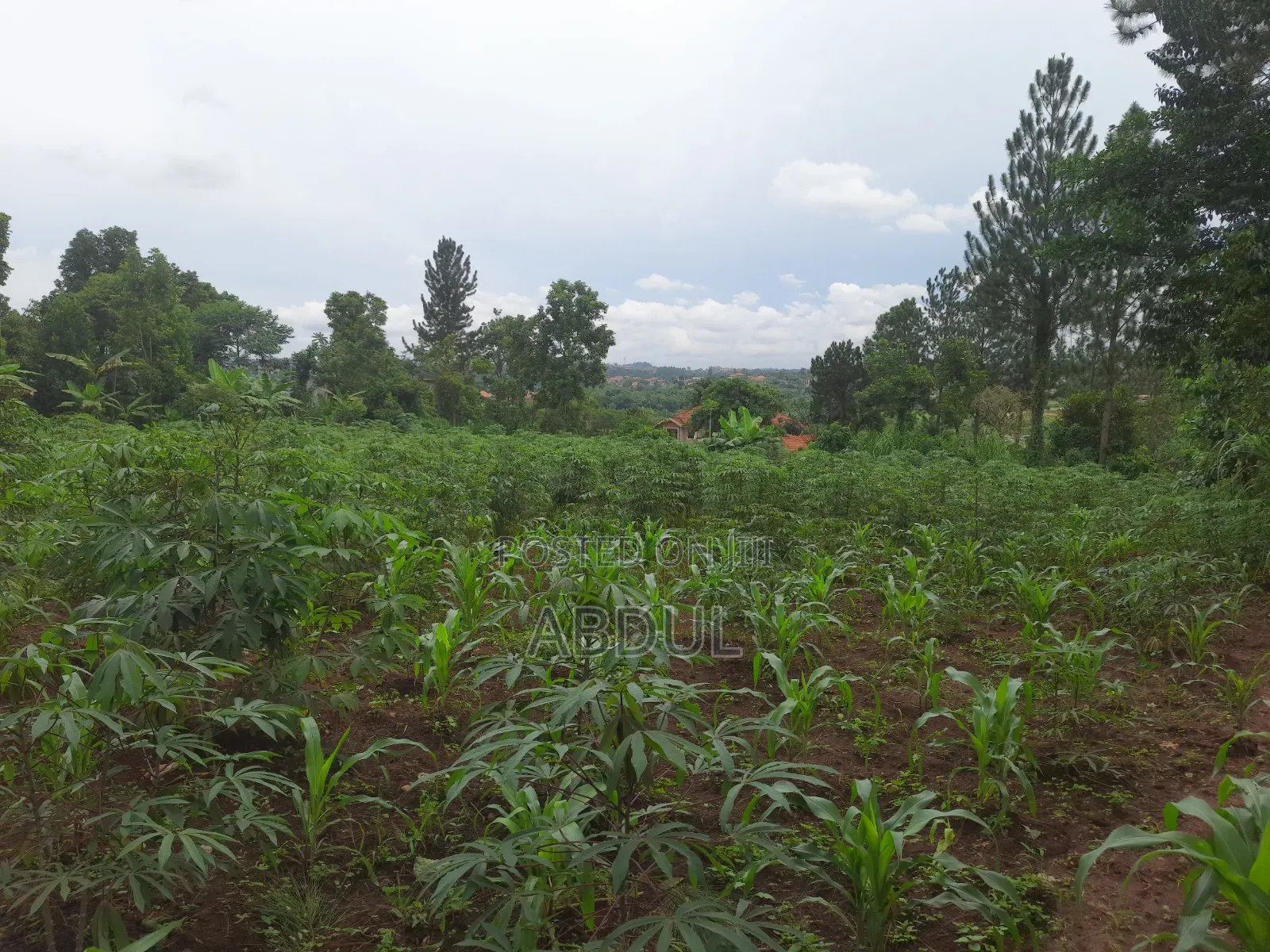 58 Decimals Piece of Land in Kira Nsasa at Ugx480m