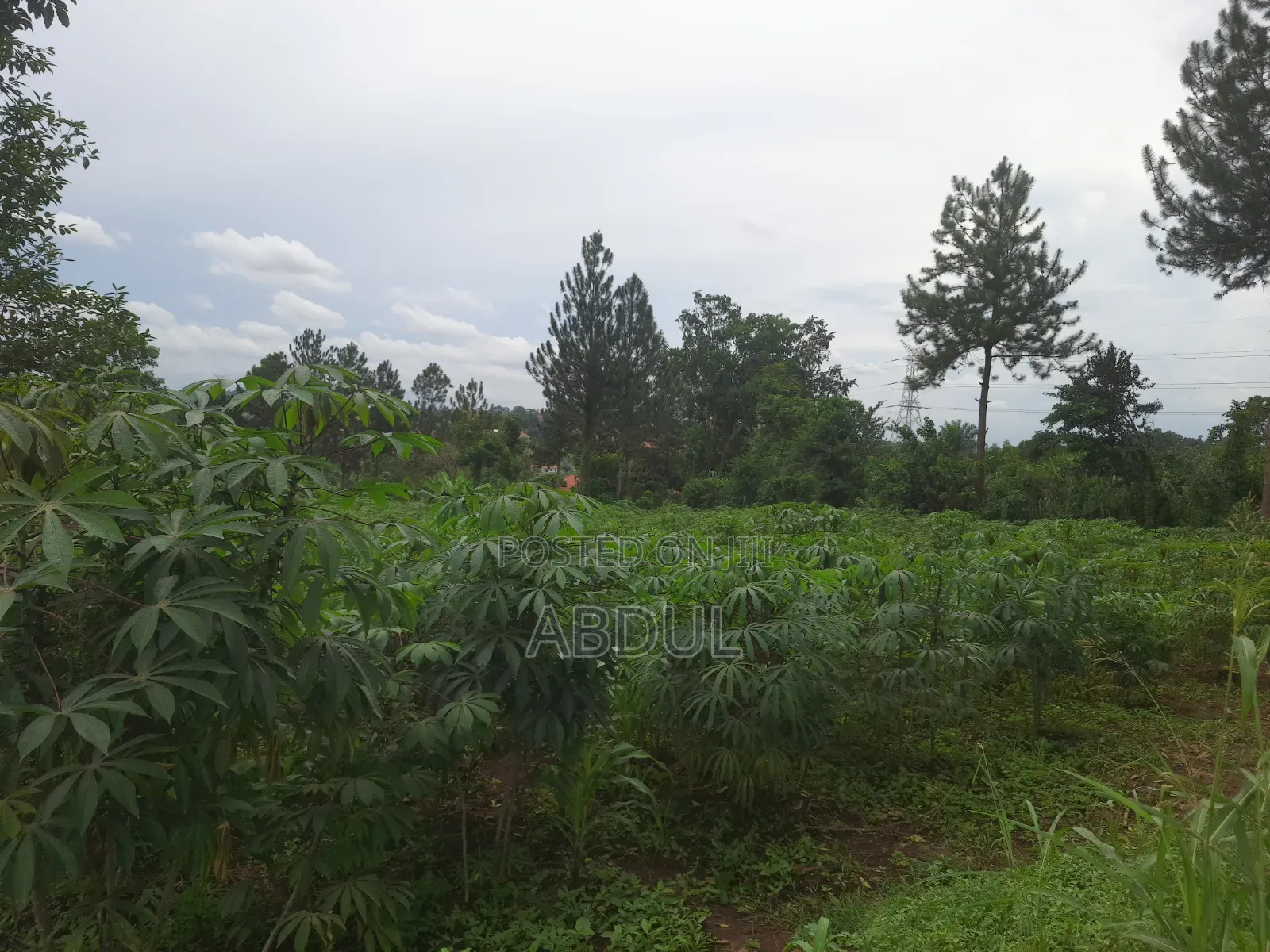 58 Decimals Piece of Land in Kira Nsasa at Ugx480m