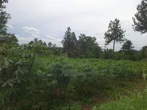 58 Decimals Piece of Land in Kira Nsasa at Ugx480m