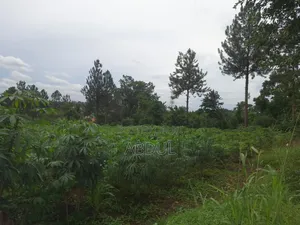 58 Decimals Piece of Land in Kira Nsasa at Ugx480m