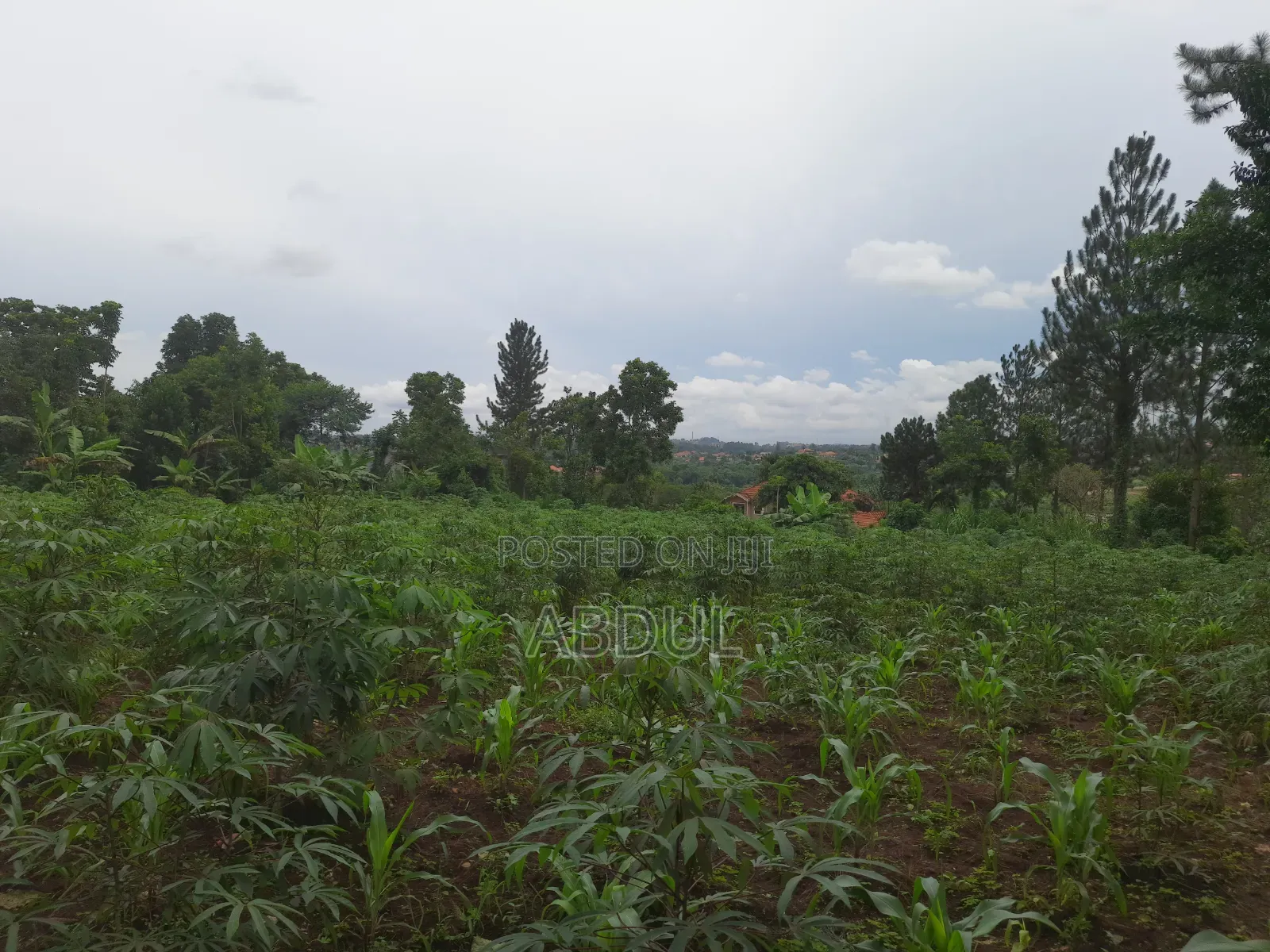 58 Decimals Piece of Land in Kira Nsasa at Ugx480m