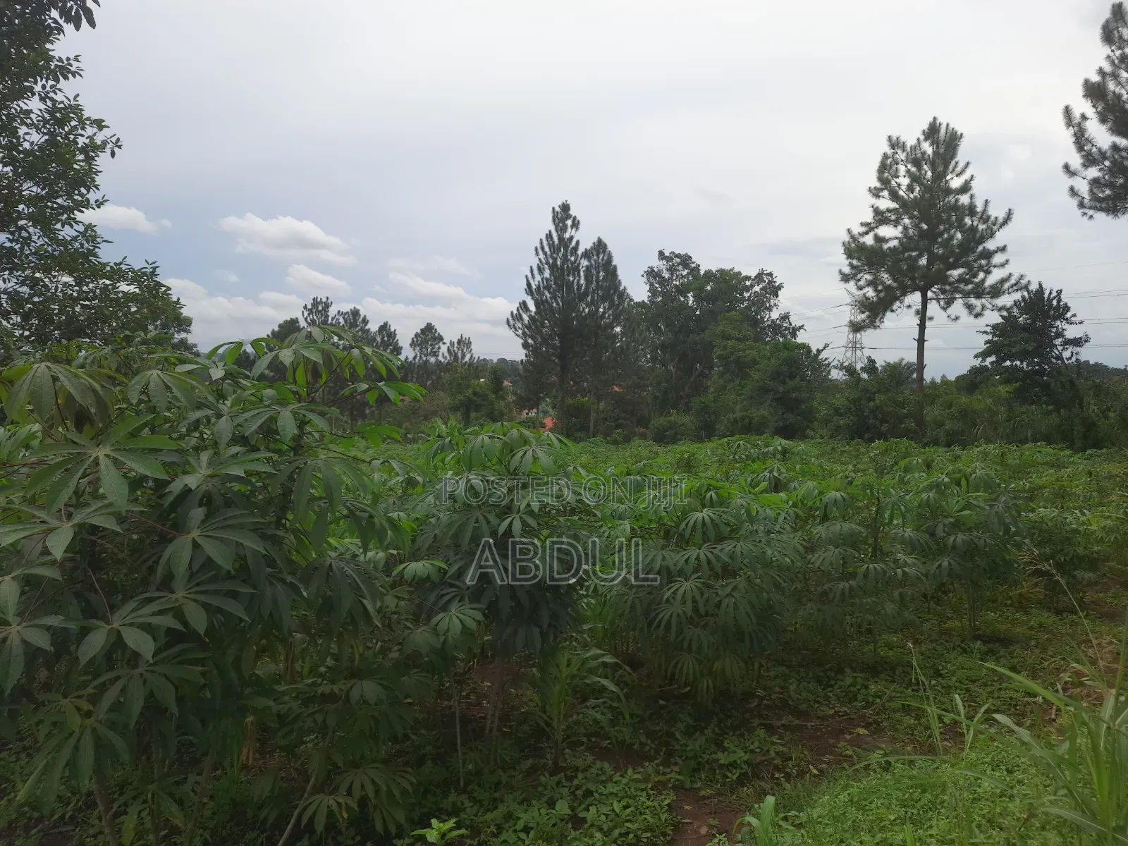 58 Decimals Piece of Land in Kira Nsasa at Ugx480m
