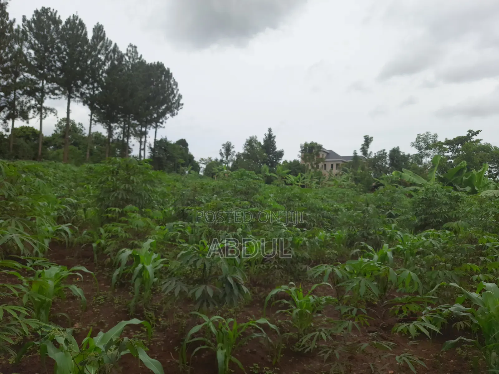 58 Decimals Piece of Land in Kira Nsasa at Ugx480m