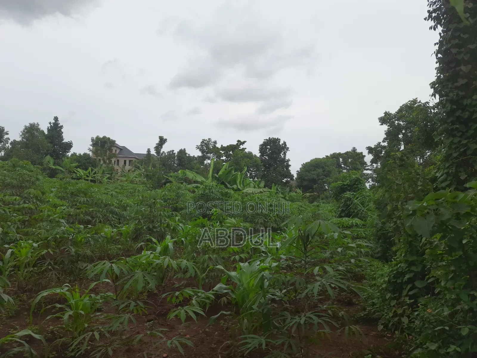 58 Decimals Piece of Land in Kira Nsasa at Ugx480m