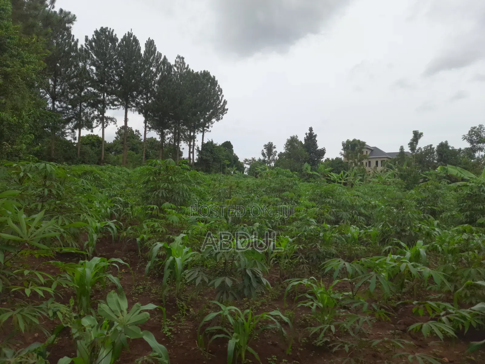 58 Decimals Piece of Land in Kira Nsasa at Ugx480m