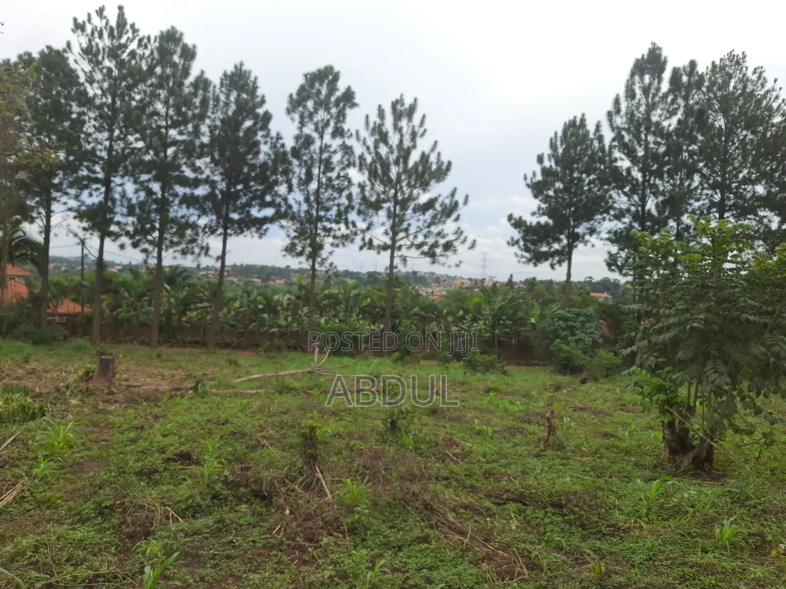 58 Decimals Piece of Land in Kira Nsasa at Ugx480m