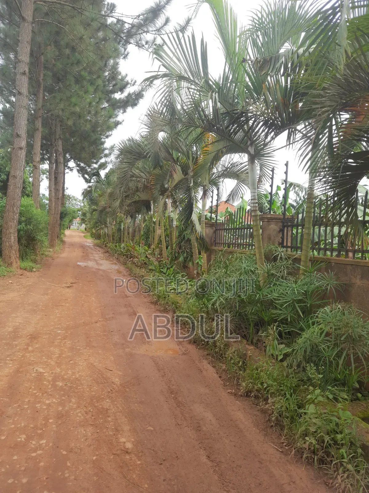 58 Decimals Piece of Land in Kira Nsasa at Ugx480m