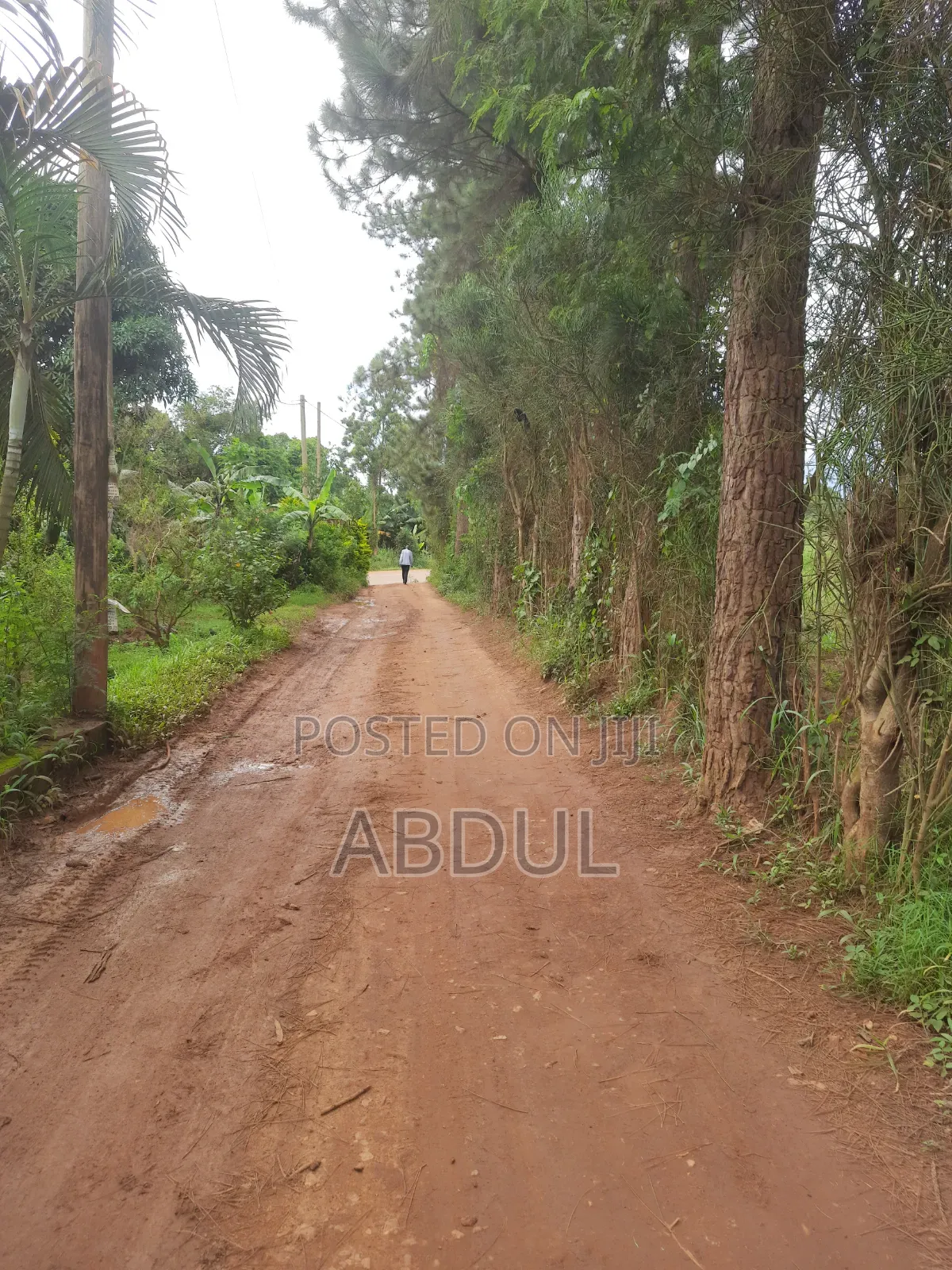 58 Decimals Piece of Land in Kira Nsasa at Ugx480m