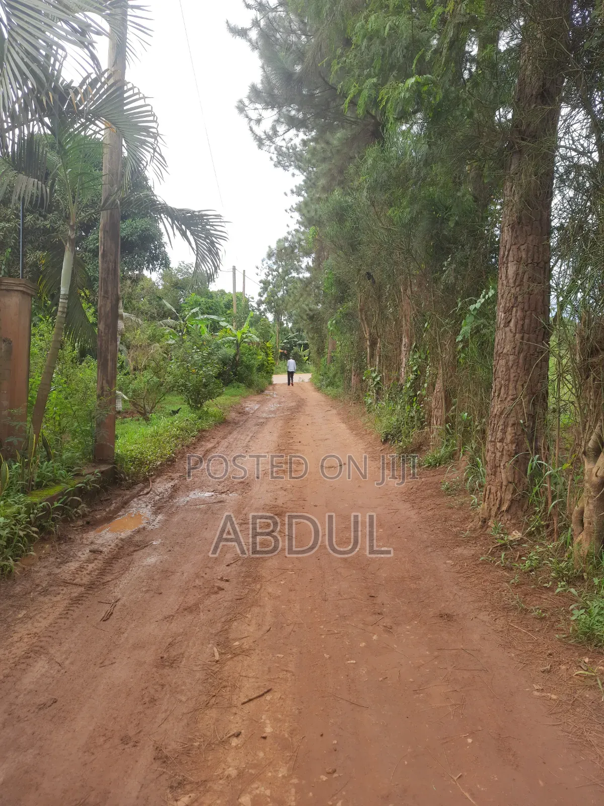 58 Decimals Piece of Land in Kira Nsasa at Ugx480m