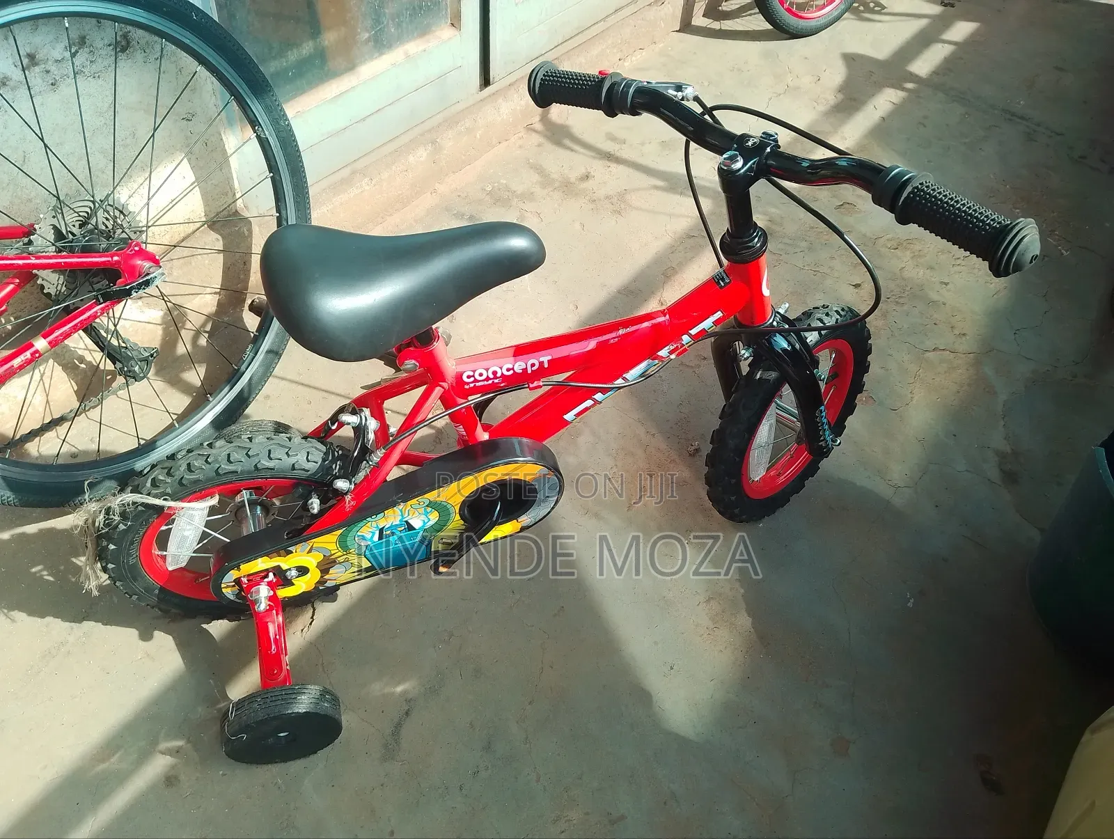 Concept Young Bicycle