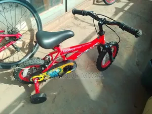 Concept Young Bicycle