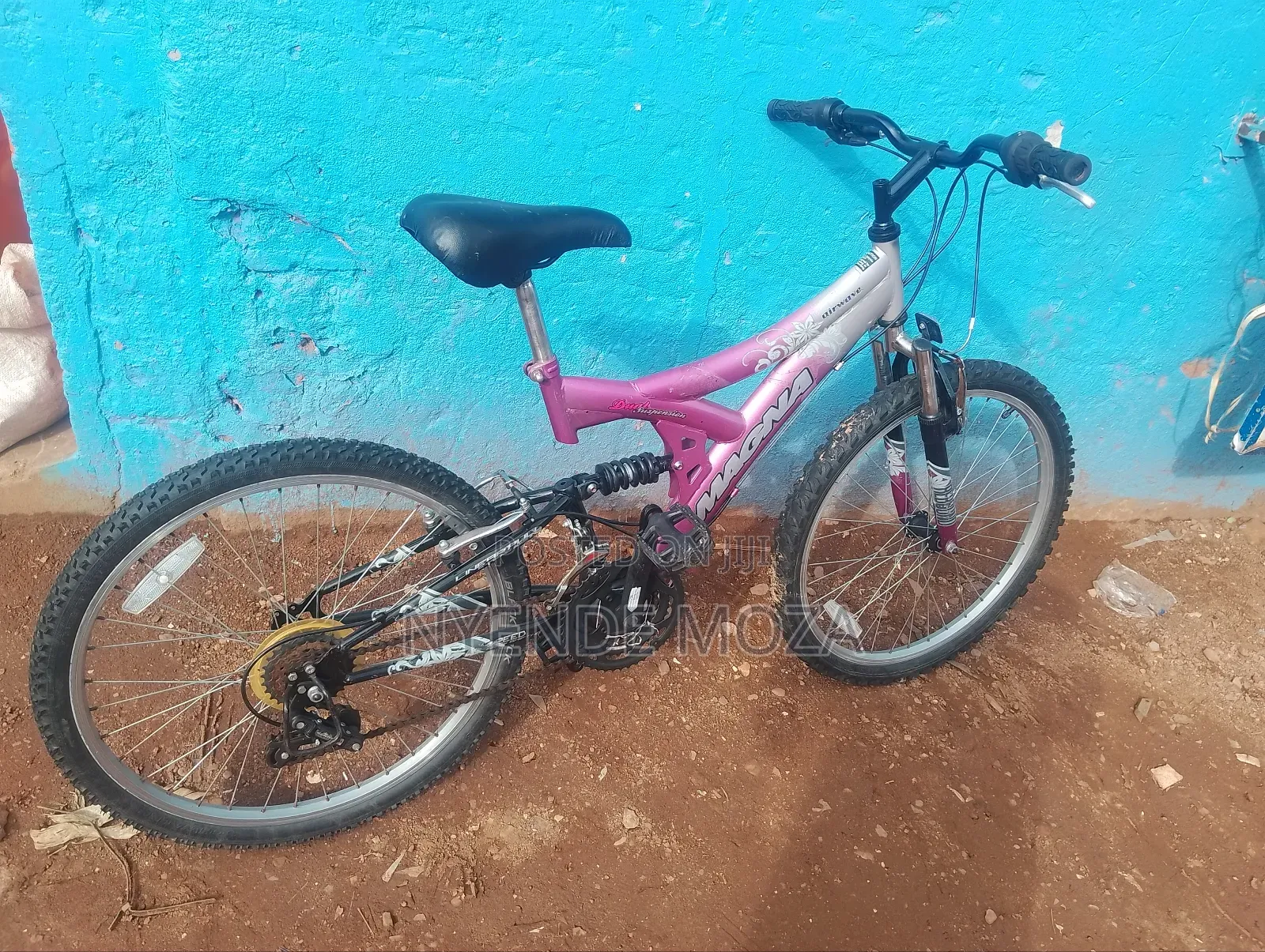 Magna Airwaves Bike