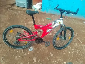 McKenzie Hill Bike