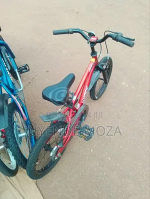 Wister D. Kids Bicycle