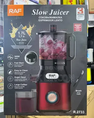 Raf Slow Juicer