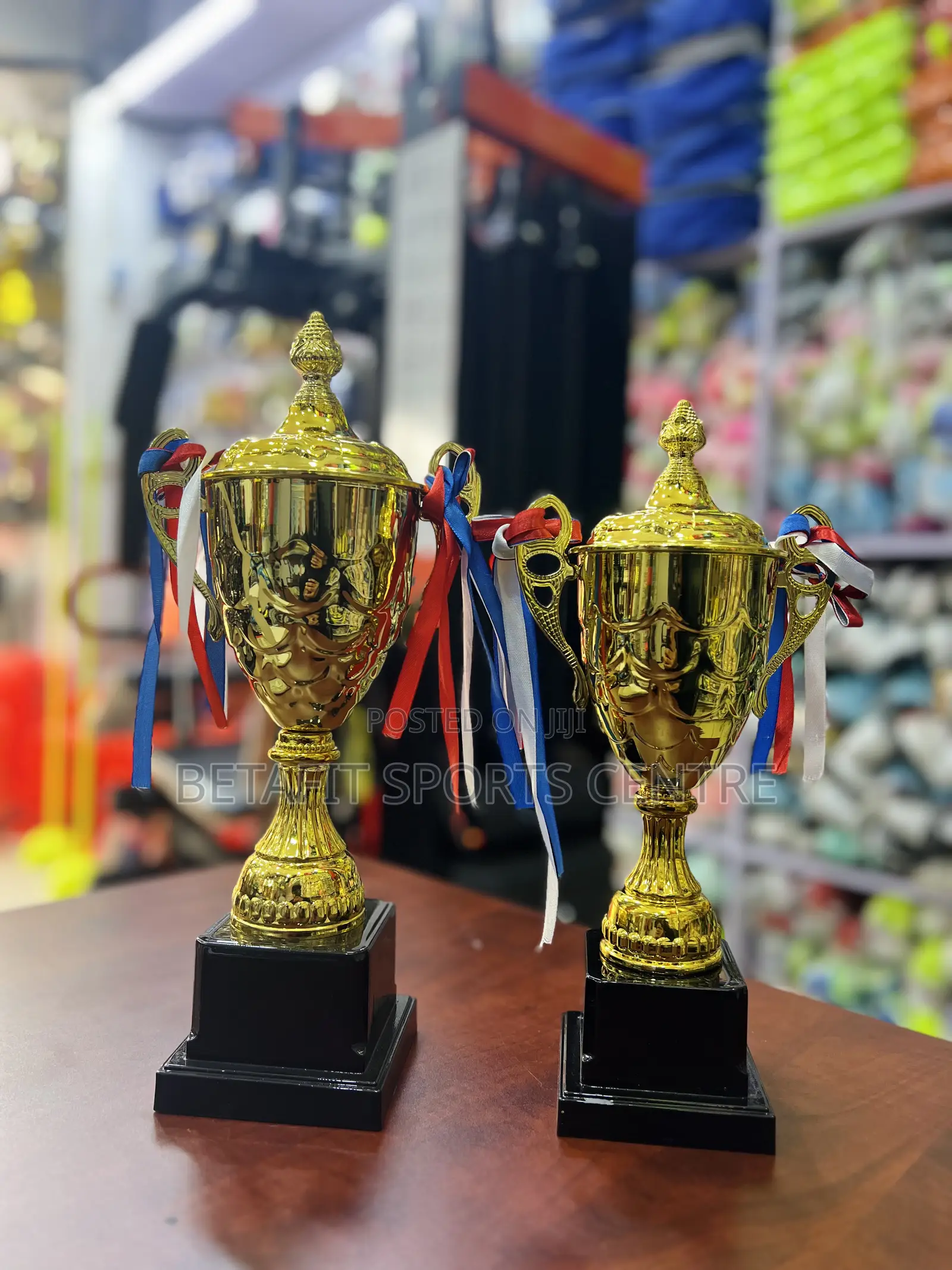Winning Trophies Sports (Set of 2pcs)