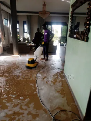 House Cleaning Services in Buziga