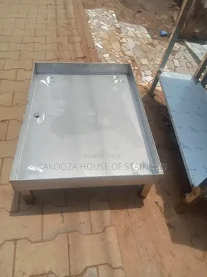 Stainless Steel Trays