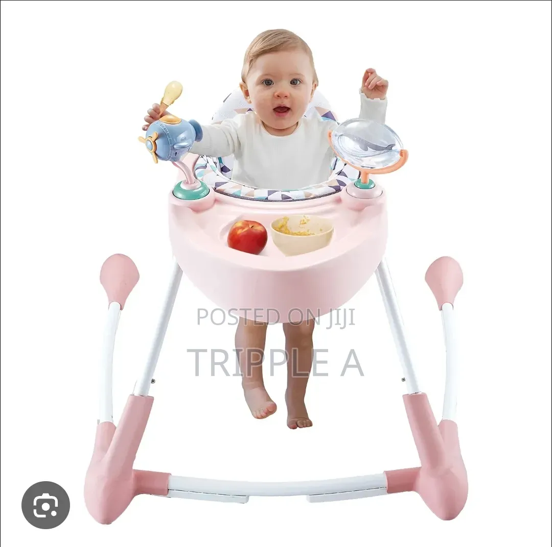 Step Into Fun 2 in 1 Baby Walker