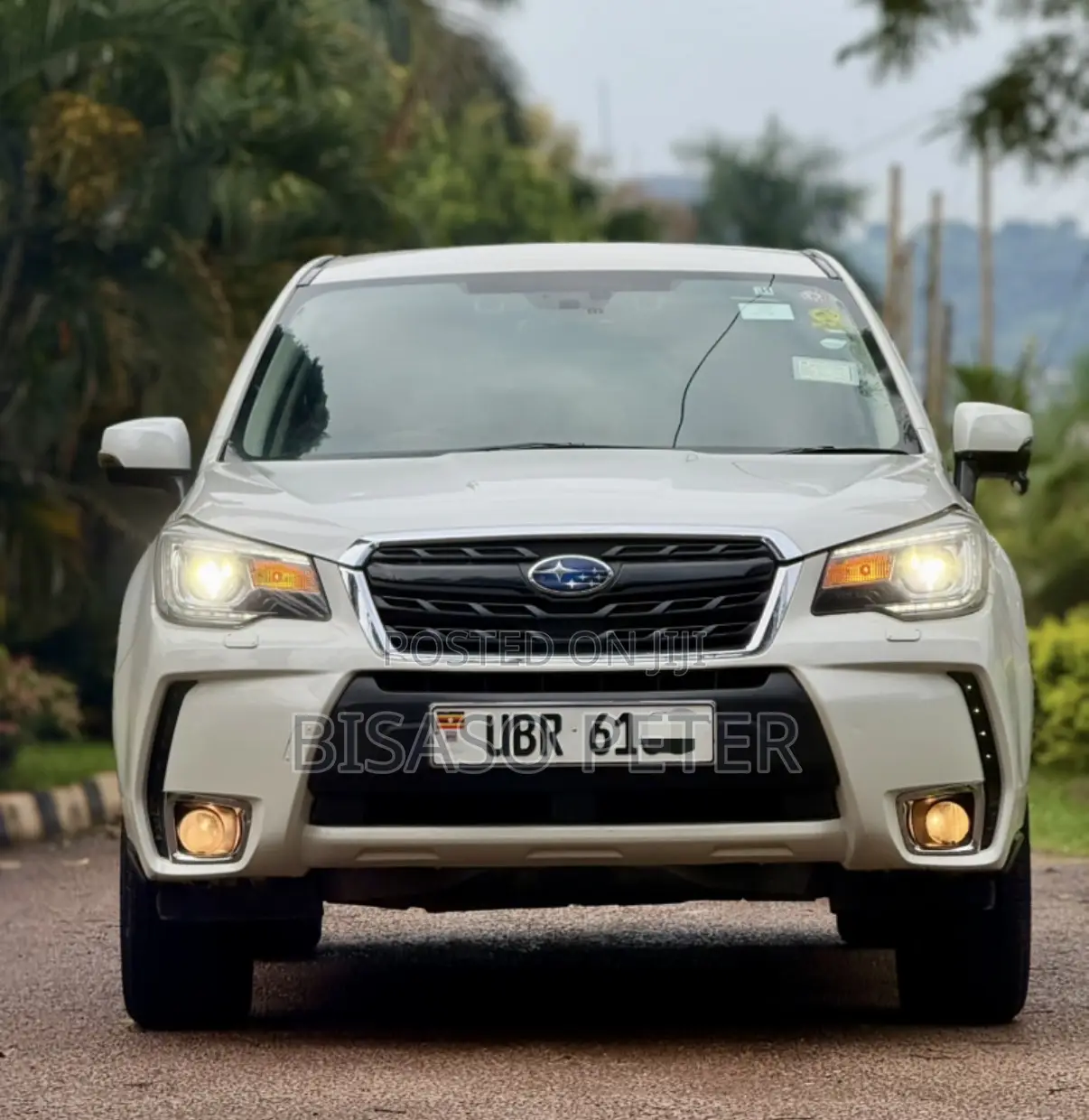 Subaru Forester 2016 White