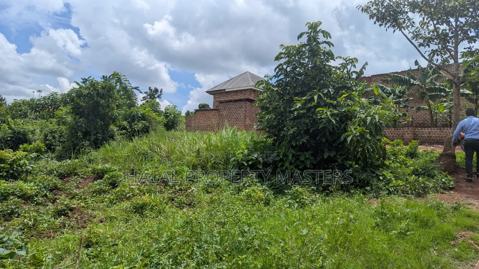 Quick Plot for Sale